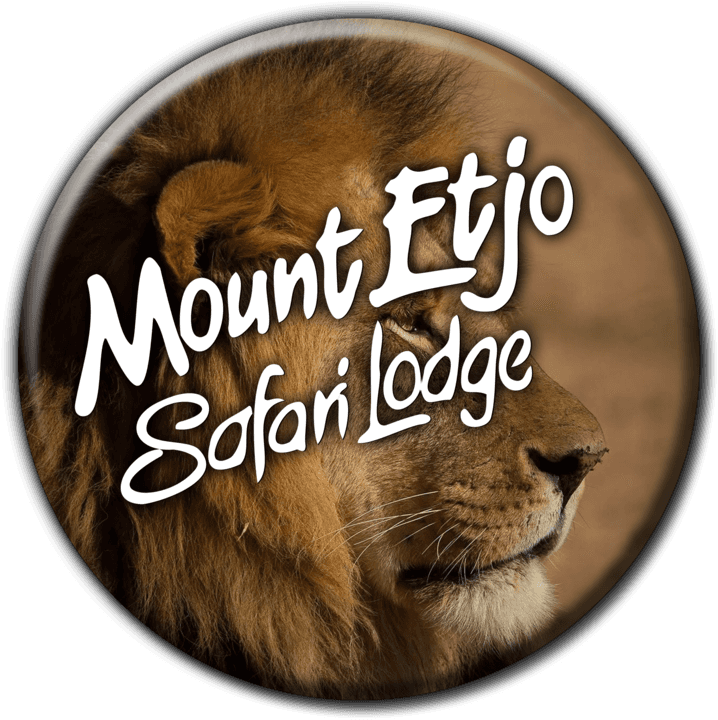 Mount Etjo Safari Lodge - Lodge Accommodation in Kalkfeld, Namibia